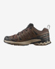 Кроссовки XA PRO 3D v9 (RU 45 UK 11 USm 11.5 СМ 29; falcon/desert tan/black)